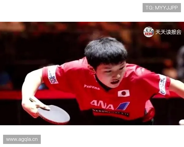 张本智和训练完直接去米其林三星，这谁顶得住啊